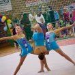 Nad�je star�� TJ Bohemians Praha