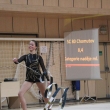 Seniorky, Oblastn� p�ebor spole�n�ch skladeb, Jablonec nad Nisou 16.11.2013
