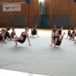 Japonky - vystoupen� star��ch gymnastek, Z�v�re�n� akademie, Chomutov 26. 6.