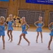 0. kategorie T.J. Sokol Plze� IV